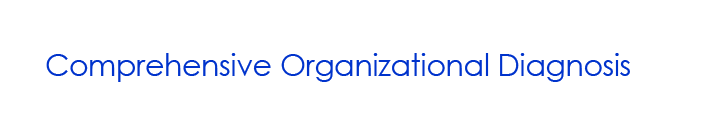 Comprehensive Organizational Diagnosis